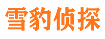 河口侦探调查公司